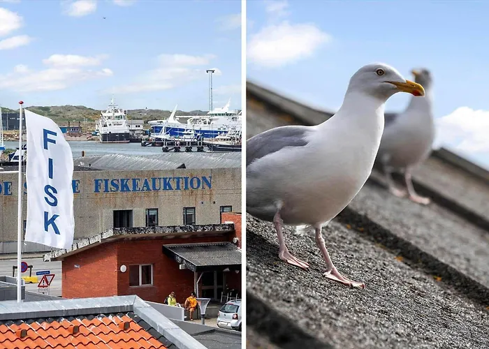 799-hvide-sande-strandgade-6-lejl-6 *